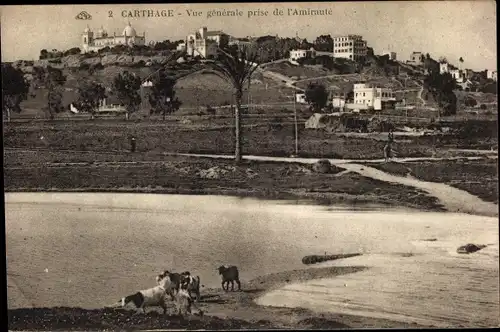 Ak Carthage Karthago Tunesien, Vue generale prise de l'Amiraute
