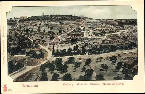 Ak Jerusalem Israel, Oelberg, Mont des Oliviers