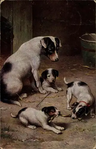 Künstler Ak Verspielte Hunde, Welpen
