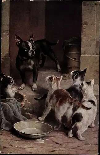 Künstler Ak Hund mit Katzenjungen am Fressnapf