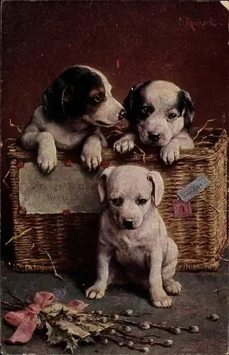 Künstler Ak Zwei Hundewelpen in einem Weidenkorb, einer sitzt davor, Weidenkätzchen