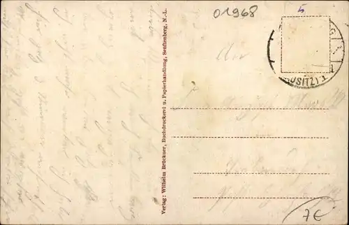 Ak Senftenberg in der Niederlausitz, Kaiser Wilhelm Park