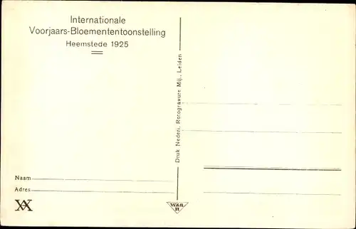 Ak Heemstede Nordholland, Internationale Voorjaars-Bloemententoonstelling 1925, Groep Narcissen