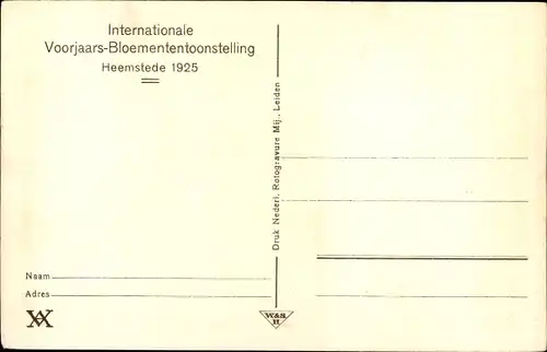 Ak Heemstede Nordholland, Internationale Voorjaars-Bloemententoonstelling 1925, Boschpartij