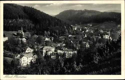 Ak Duszniki Zdrój Bad Reinerz Schlesien, Teilansicht
