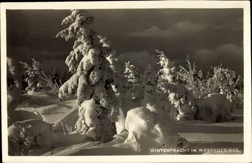 Ak Sobieszów Hermsdorf Kynast Riesengebirge Schlesien, Winterpracht