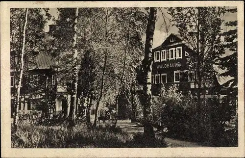 Ak Świeradów Zdrój Bad Flinsberg Schlesien, Waldbaude im Isergebirge