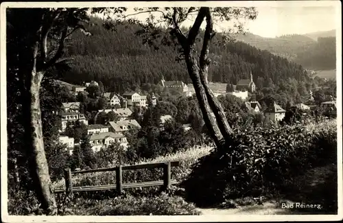 Ak Duszniki Zdrój Bad Reinerz Schlesien, Ortsansicht