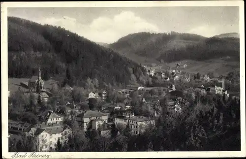 Ak Duszniki Zdrój Bad Reinerz Schlesien, Ortsansicht