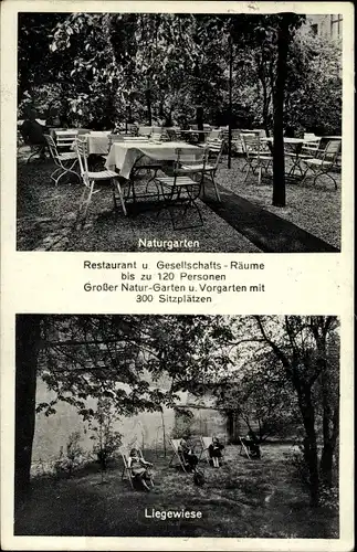 Ak Berlin Mitte, Restaurant zur großen Hütte, Naturgarten, Liegewiese