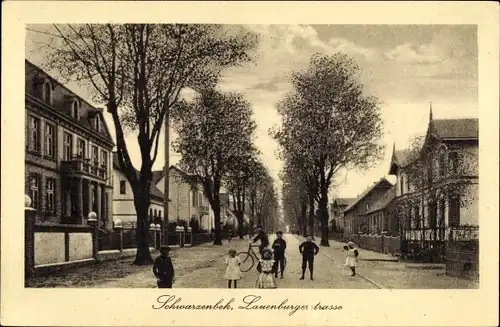 Ak Schwarzenbek in Lauenburg, Lauenburgerstraße
