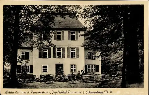 Ak Schwarzburg in Thüringen, Waldgaststätte Jagdschloss Fasanerie