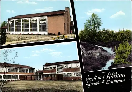 Ak Wilsum Grafschaft Bentheim, Teilansicht, Schule
