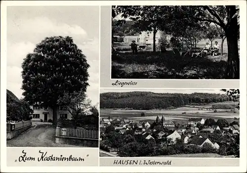 Ak Hausen Waldbrunn Westerwald, Pension Zum Kastanienbaum, Liegewiese, Panorama