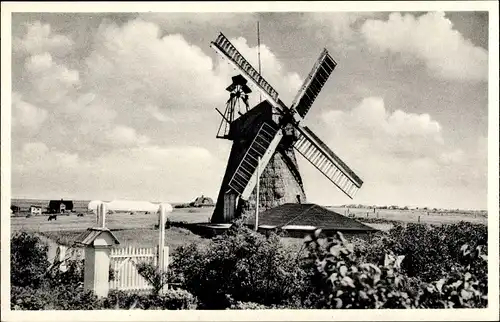 Ak Insel Amrum in Nordfriesland, Windmühle