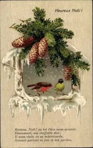 Ak Glückwunsch Weihnachten, Tannenzweige, Zapfen, Rotkehlchen, Meise, Vögel