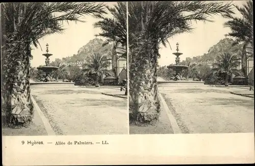 Stereo Ak Hyères Var, Allée de Palmiers