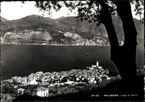 Ak Malcesine Lago di Garda Veneto, Panorama