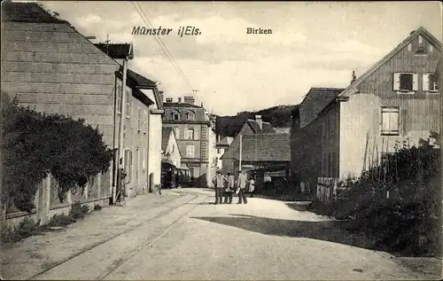 Ak Munster Münster Elsass Haut Rhin, Birken, Straßenpartie