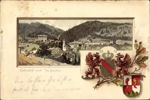 Präge Wappen Litho Triberg im Schwarzwald, Blick auf den Ort