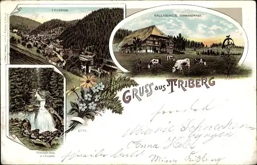 Litho Triberg im Schwarzwald, Gesamtansicht, Wasserfall, Schwarzwälder Bauernhaus, Kühe