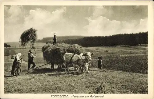 Ak Königsfeld im Schwarzwald Baar Kreis, Heuernte am Rotenwald