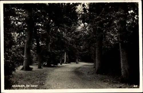 Ak Haarlem Nordholland Niederlande, De Hout