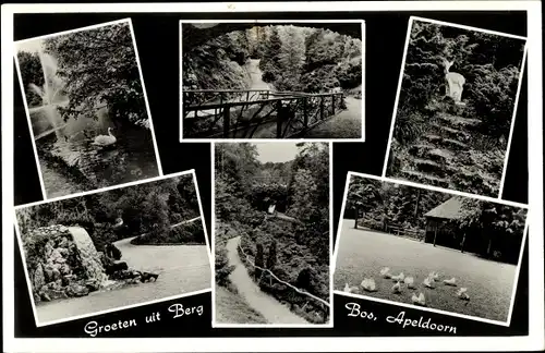 Ak Apeldoorn Gelderland, Berg Bos, See, Brücke, Treppe, Reh, Schwan, Hühner, Wege