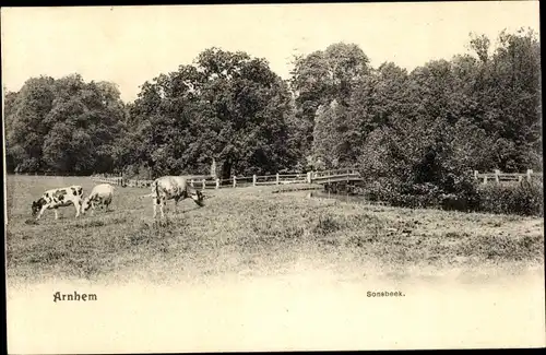 Ak Arnhem Gelderland Niederlande, Sonsbeek