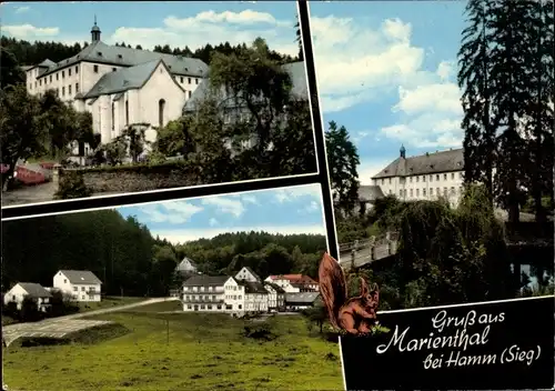 Ak Marienthal Seelbach bei Hamm an der Sieg, Restaurant Pension Cafe Haus Elisabeth