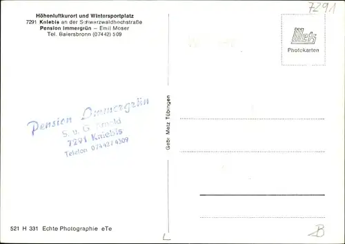 Ak Kniebis Freudenstadt im Nordschwarzwald, Pension Immergrün, Emil Moser, Winteransicht