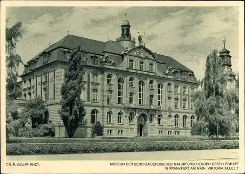 Ak Frankfurt am Main, Museum der Senckenbergischen Naturforschenden Gesellschaft, Viktoria Allee 7