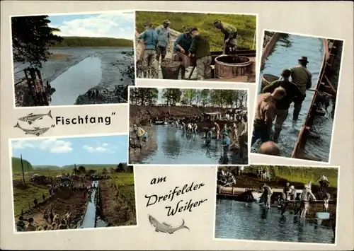 Ak Schmidthahn Steinebach an der Wied Westerwald, Haus Am See, Fischfang am Dreifelder Weiher