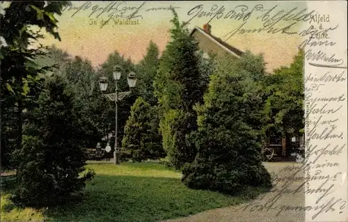 Ak Alfeld an der Leine, In der Waldlust