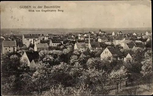 Ak Guben in der Niederlausitz, Ort von Engelmannsberg aus gesehen, Baumblüte