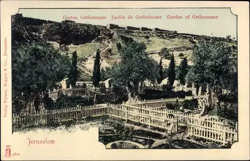 Ak Jerusalem Israel, Garten Gethsemane, Eingang, Jardin, Garden