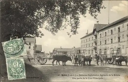 Ak Rille Indre et Loire, Une Partie de la Cours Principale, Rinder mit Fuhrwerken