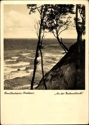 Ak Großuhren Samland Ostpreußen, Steilküste, An der Fuchsschlucht