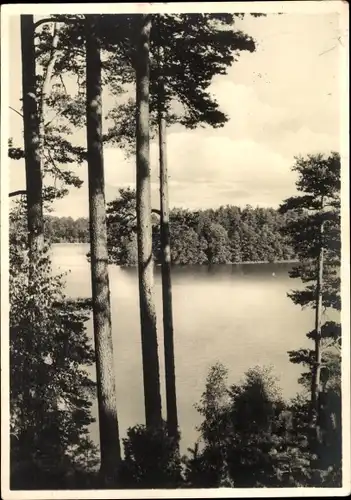 Ak Ruciane Nida Rudczanny Nidden Niedersee Masuren Ostpreußen, An der Niedersee