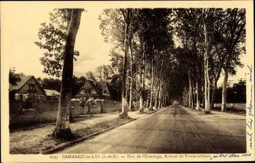 Ak Dammarie les Lys Seine et Marne, Parc de l'Ermitage, Avenue de Fontainebleau