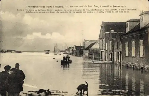 Ak Sens Yonne, Inondations de 1910, L'Yonne en aval du Petit Pont