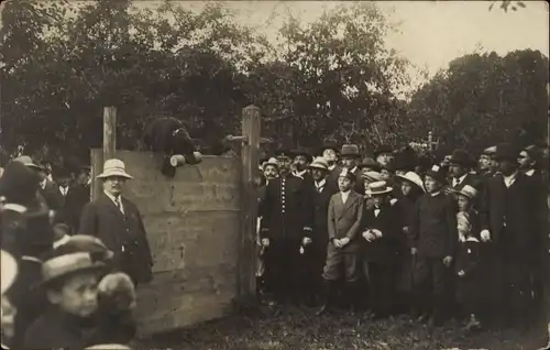 Foto Ak Hund springt über eine Hürde, Fest, Zuschauer