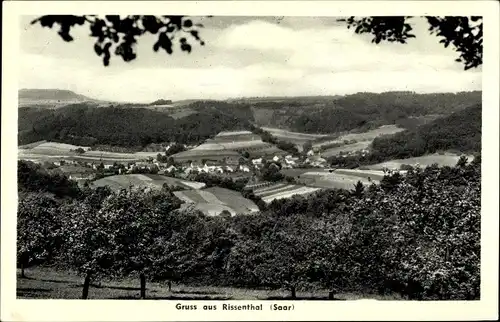 Ak Rissenthal Losheim am See Saarland, Panorama