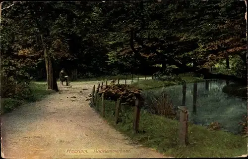 Ak Haarlem Nordholland Niederlande, Haarlemmerhout