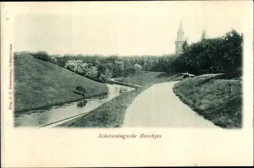 Ak Scheveningen Den Haag Südholland, Scheveningsche Boschjes