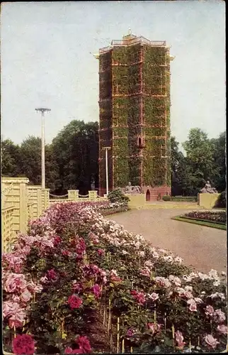 Ak Dresden, Jubilläums-Gartenbau-Ausstellung 1926, Grüner Dom, Riesengroßer Rosengarten