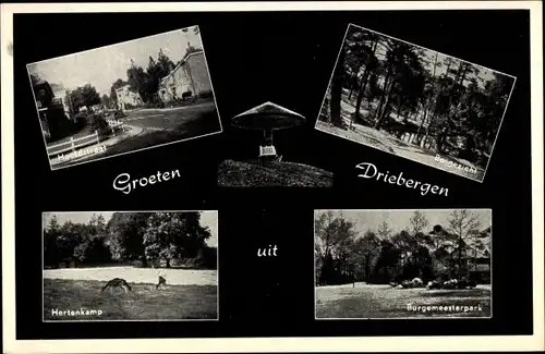 Ak Driebergen Utrecht Niederlande, Hertenkamp, Burgemeesterpark, Bosgezicht, Hooidstraat