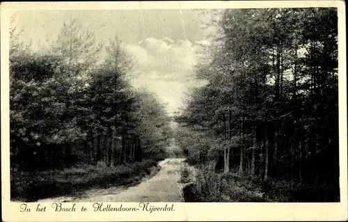 Ak Hellendoorn Overijssel, In het Bosch te Hellendoorn-Nijverdal