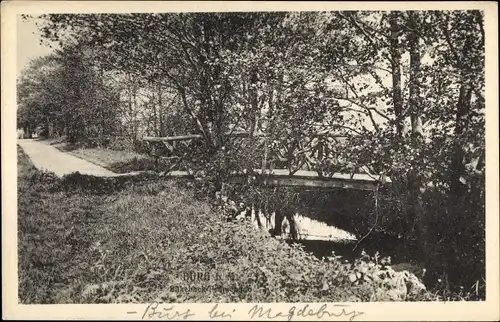Ak Burg bei Magdeburg, Brücke