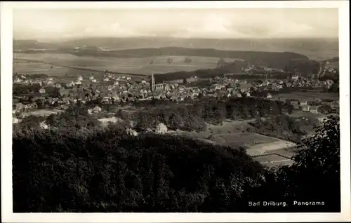 Ak Bad Driburg in Westfalen, Panorama